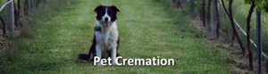 Bamganie Pet Cremation Services - Pet Cremations